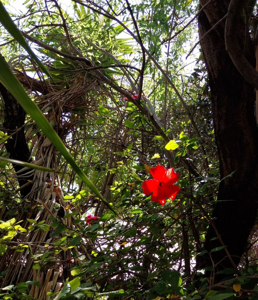 20250314_1344396380325736323411074